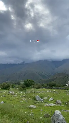 #tarija 🦋