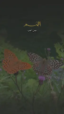 أجمعين 🤲🤍