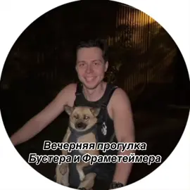 #бустер #buster #frametamer 
