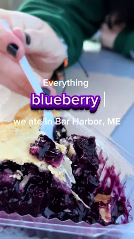 #barharbor#maine#blueberry 