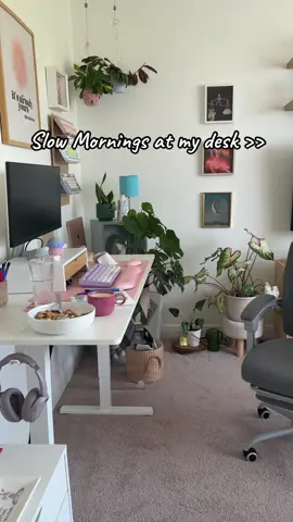Love having this adjustable desk- it allows me to sit and stand 🥰 . . . #officedesk #standingdesk #desksetup #homeoffice 