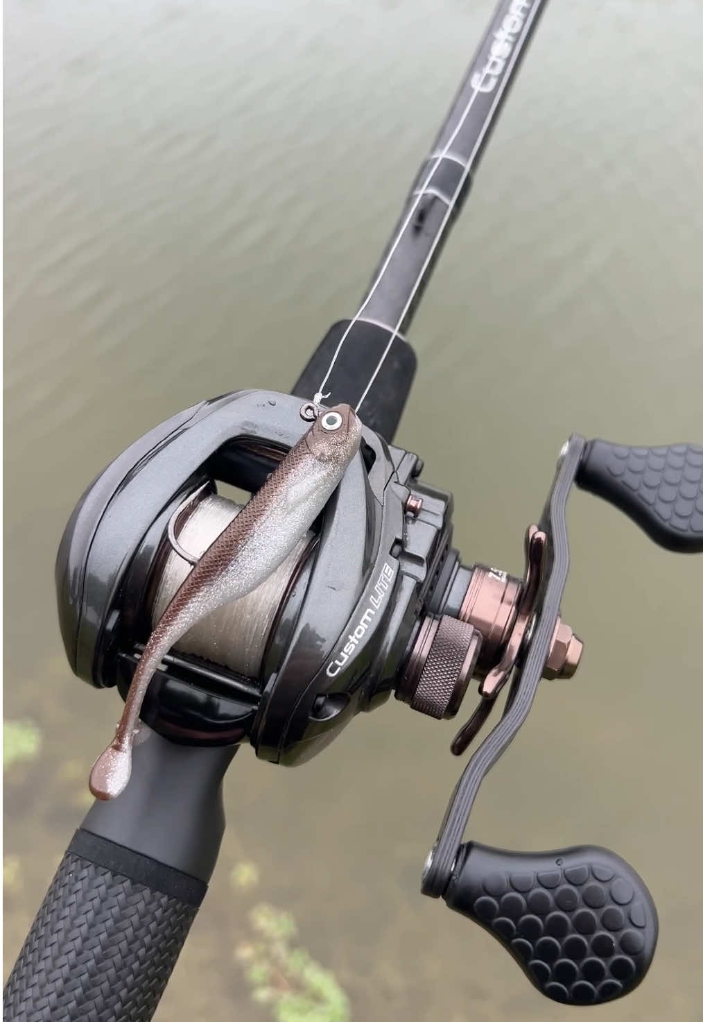 The new “Pinger Minnow” from Strike King got it done on this 4lbr‼️🔥 #bassfishing #fishtok #swimbaits 
