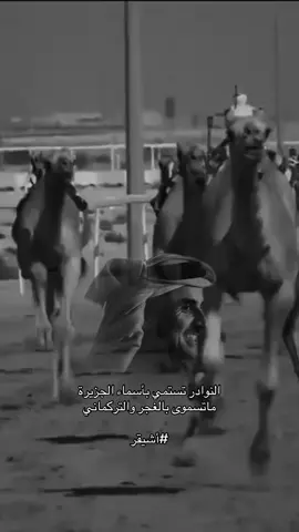#تميم_بن_حمد #هجن #قطر #Explore #fyp 