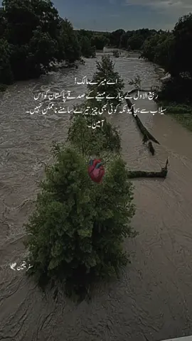 آمین ثم آمین🤲🏻🥺🫶🏼 #creatorsearchinsights #tik_tok #safr_e_yaqeen #بیشک_اللہ_کے_سوا_کوئی_مدد_گار_نہیں😭😭😭 #forupage 