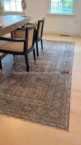 The easiest and most affordable way to elevate your home is with this @PureCozy washable rug #washablerug #moodyrug #homedecoronabudget #petfriendlyhome #tiktokshoplabordaysale 