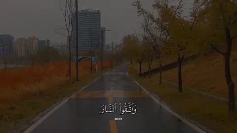 سورة #ال_عمران | #احمد_عبدالرزاق_نصر 