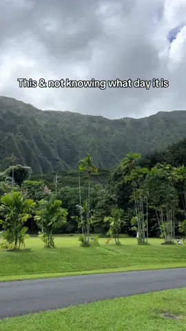 #oahu #maui #hawaii 🌺