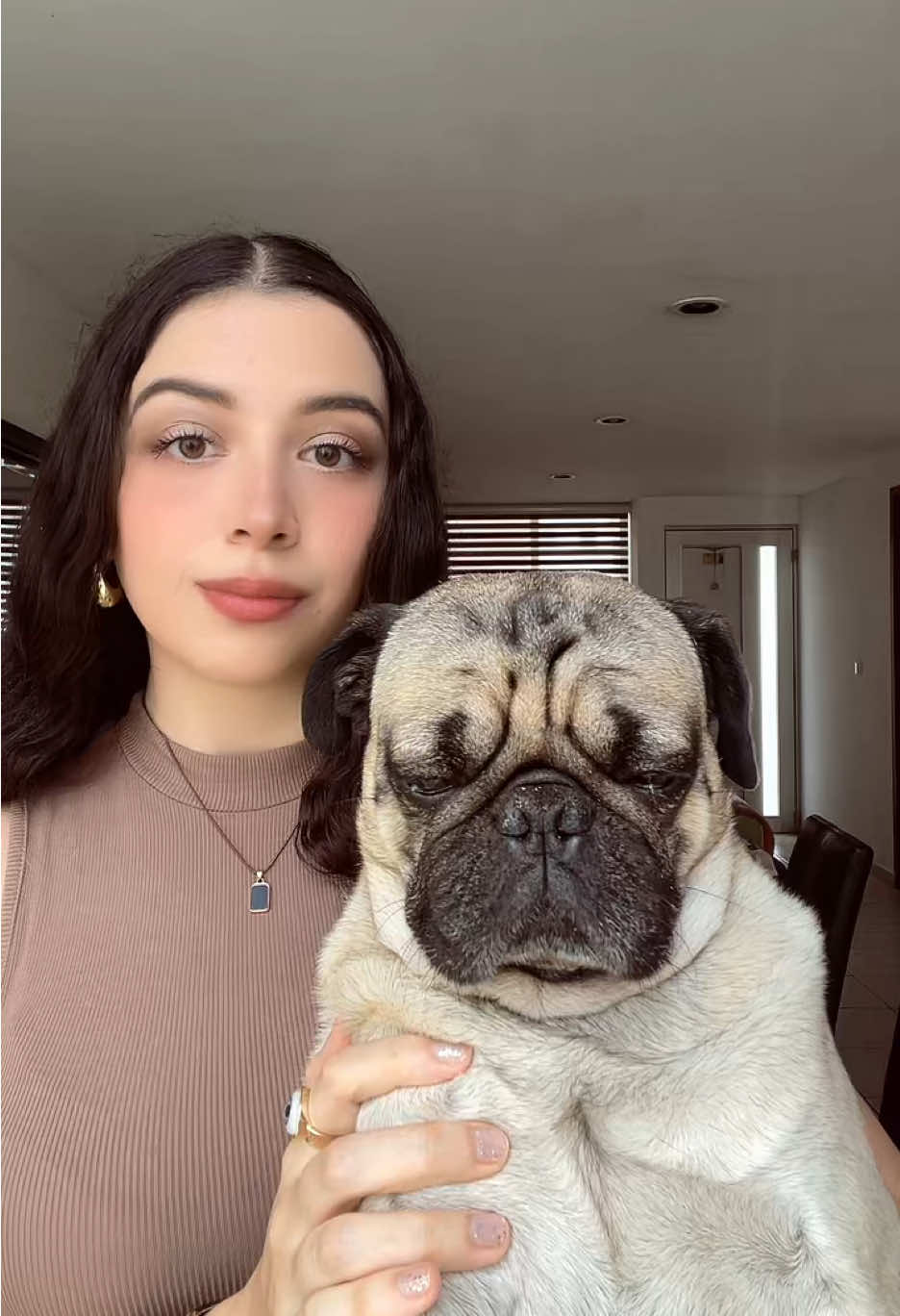 Tallado por los mismos dioses 🤭 #fyp #pug #pugtiktoker #paratiiiiiiiiiiiiiiiiiiiiiiiiiiiiiii #puglover 