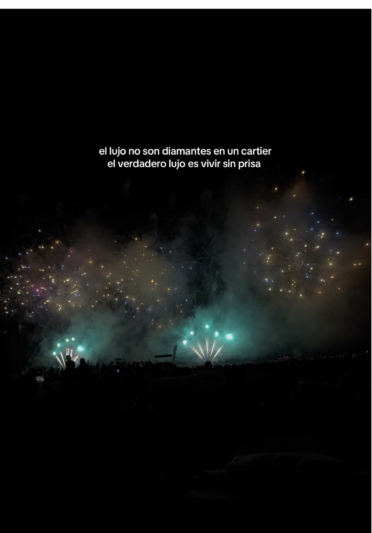 #cannesfireworkfestival #fireworks #france #couplegoals #fyp 