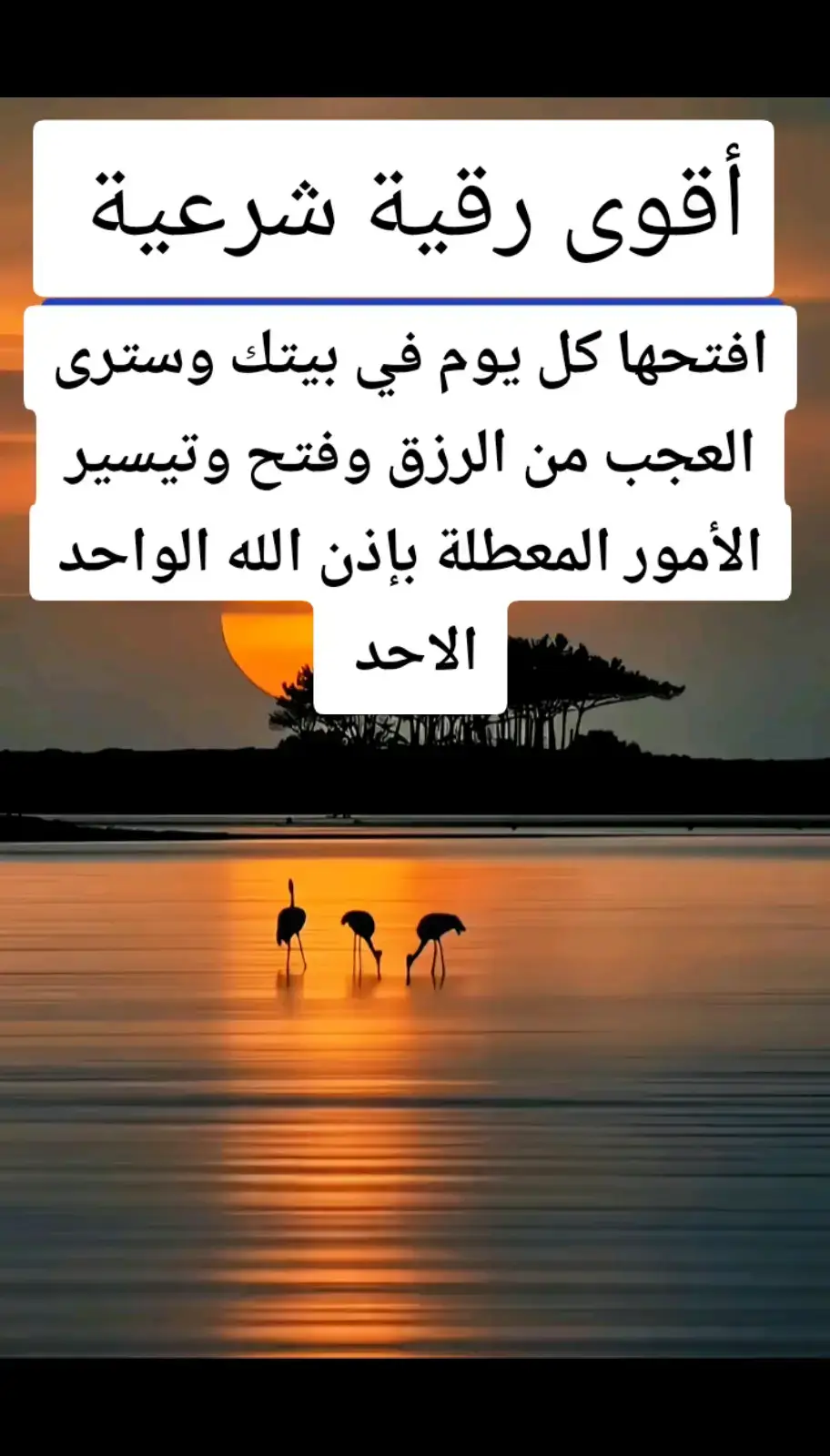 افتحها كل يوم في بيتك وسترى العجب من الرزق وفتح وتيسير الأمور المعطلة بإذن الله الواحد الاحد #رقية_شرعية #رقية #اكسبلور #quran #explore 