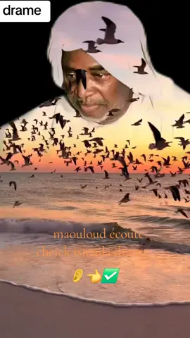 @Aboubacar gakou \V|📿☝️ #malitiktok #drame #ahamadahamaoula #