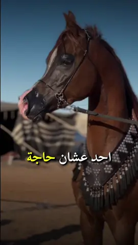 #أكسبلور_شعر_حكم_خواطر 