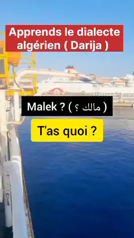 Apprends des expressions traduites en dialecte algérien #apprendrelarabe #darija #france  #apprendrelefrançais #francais 