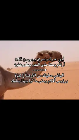 #السنافيه_نمبر_ون #الخرمه_الغريف_رنيه_رماح #flypシ #العريني #اكسبلورexplore 