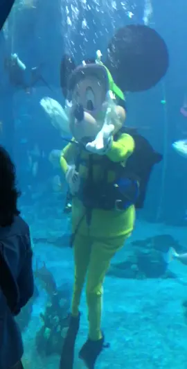 Scuba Mickey #MickeyMouse #WaltDisneyWorld #disneybackstage #disneybackstagephotos #disneybackstagesecrets 
