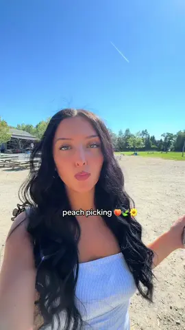 FUN #peach #peaches #tsitp #peachpicking #fruit 