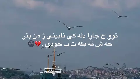 #ahmo_031 #هاريكاربن_جماعت #اكتيف_سفره #zaxo_duhok_hewler_slemani_hawler 
