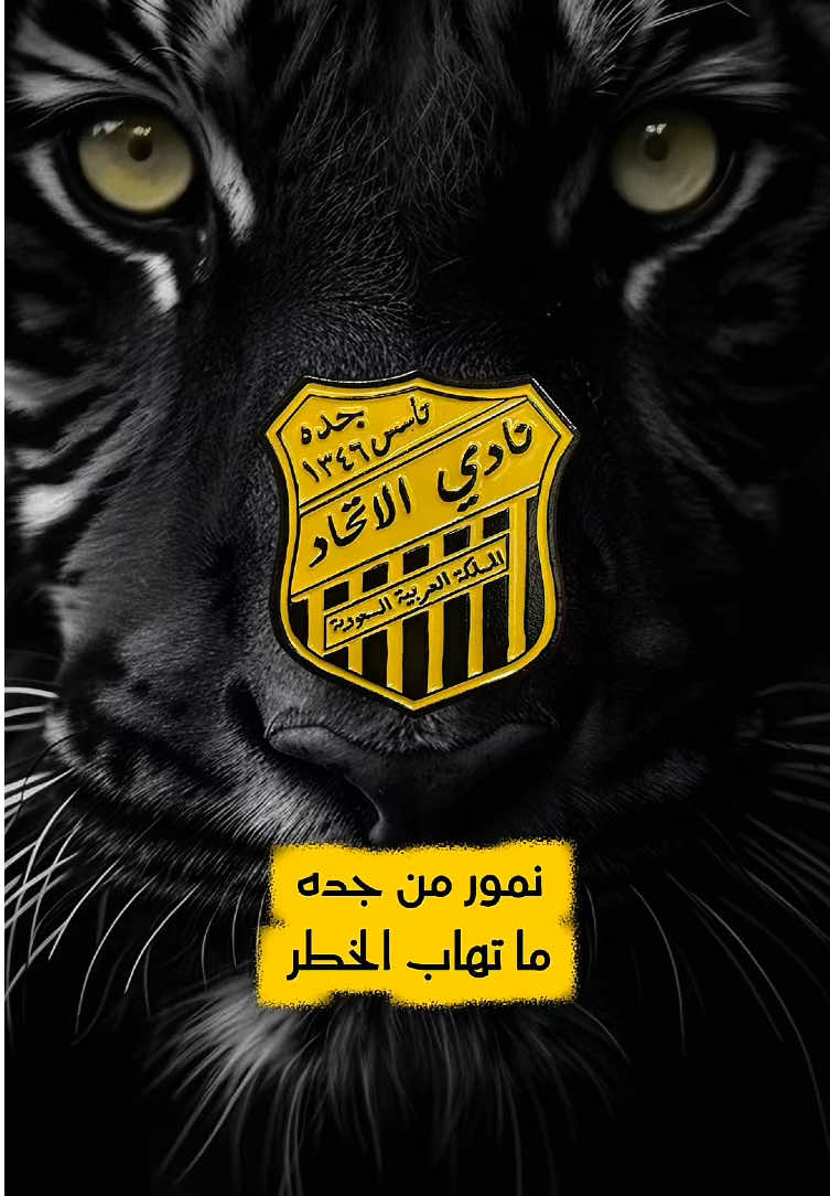 أنت البدايات و أخر ساحل و مينا 💛🖤 #الاتحاد #دوري_روشن_السعودي  #العميد #الاتي #جده  @نادي الاتحاد | Al-Ittihad FC 