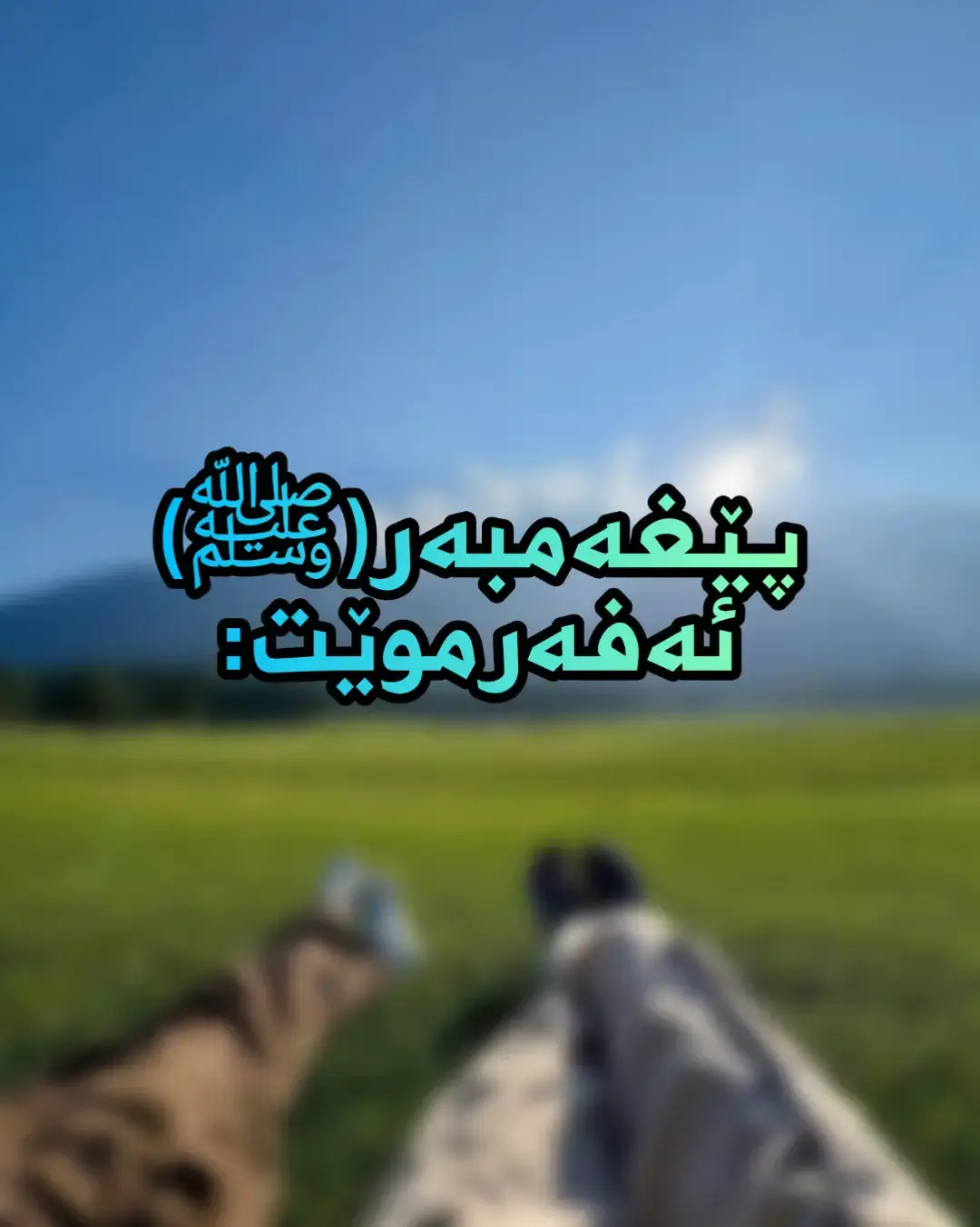 #بسم_الله_الرحمن_الرحيم #اللهم_صلي_على_نبينا_محمد #foryou #foryoupage #فەرمودە 