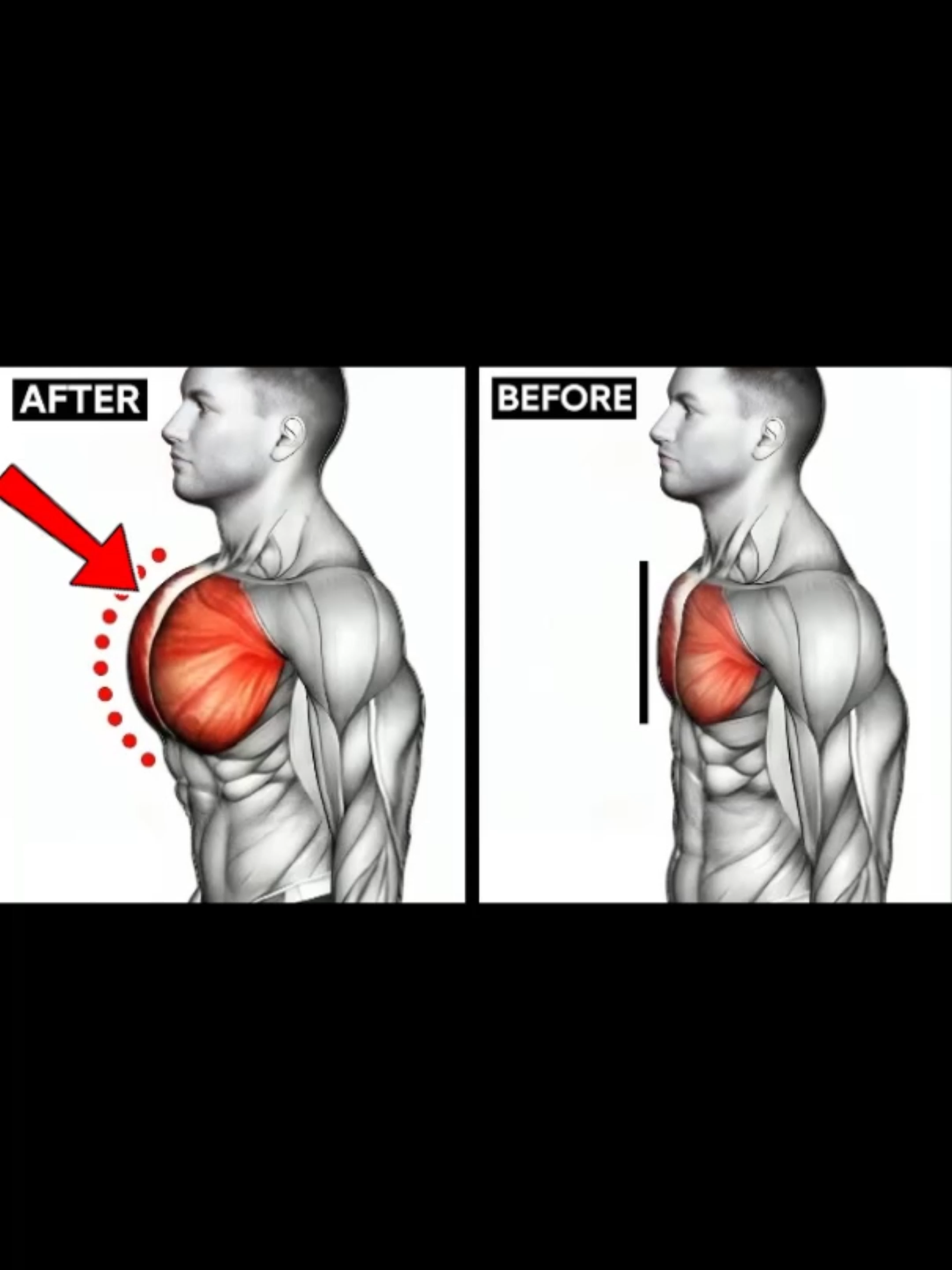 Chestday 📈 3 sets 10-12 reps each. Hit save give it a try. Let’s go! #muscle #exercise #Fitness #workout #gym #fitnesstips #fit #workoutmotivation #workoutchallenge #Chest #Chestworkout