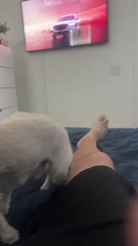 I guess it’s a sleep over 😂 #foryoupage #miasfan #tiktokpets #ginanico 