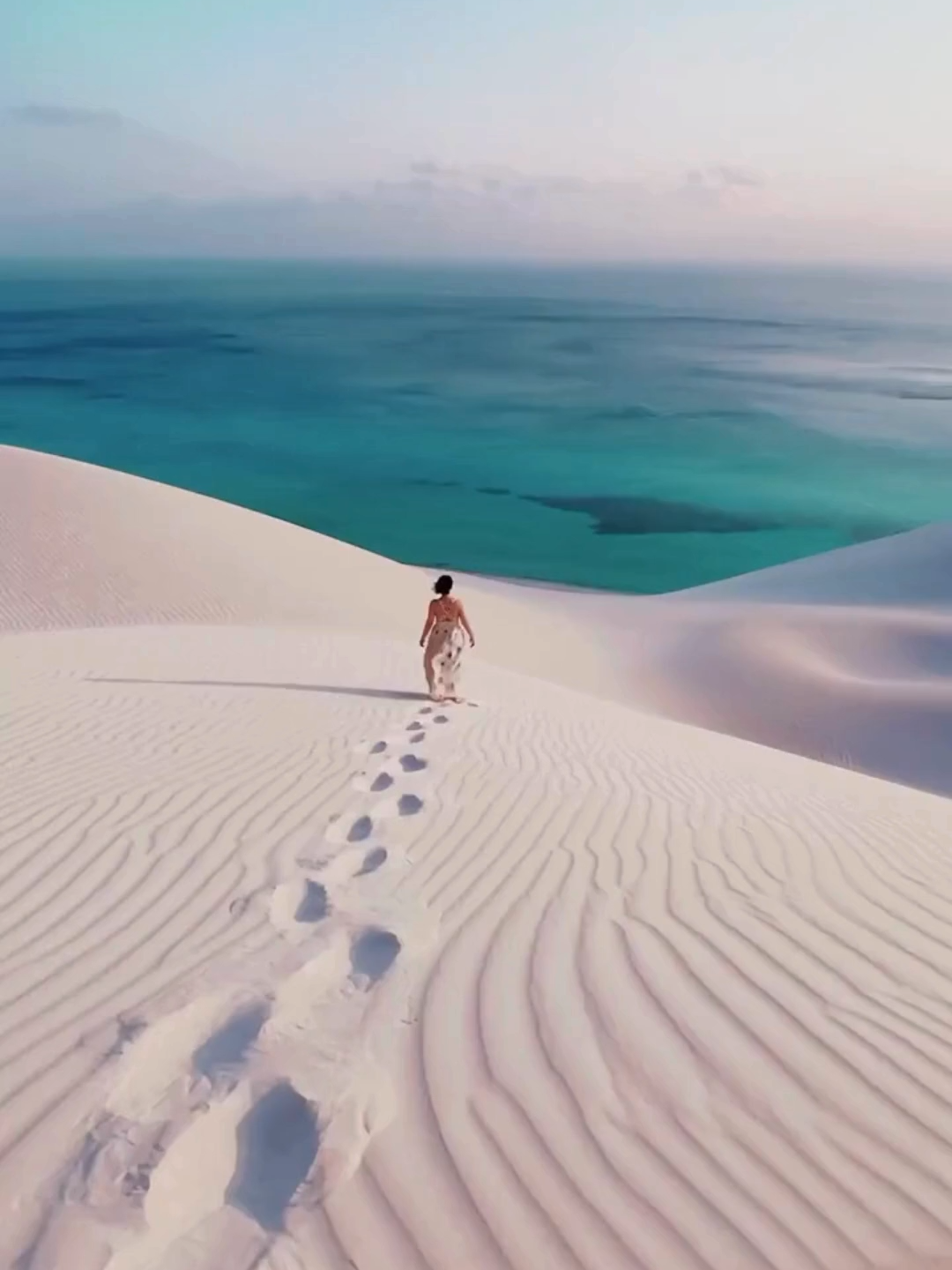🌴 SOCOTRA: A ILHA MAIS 