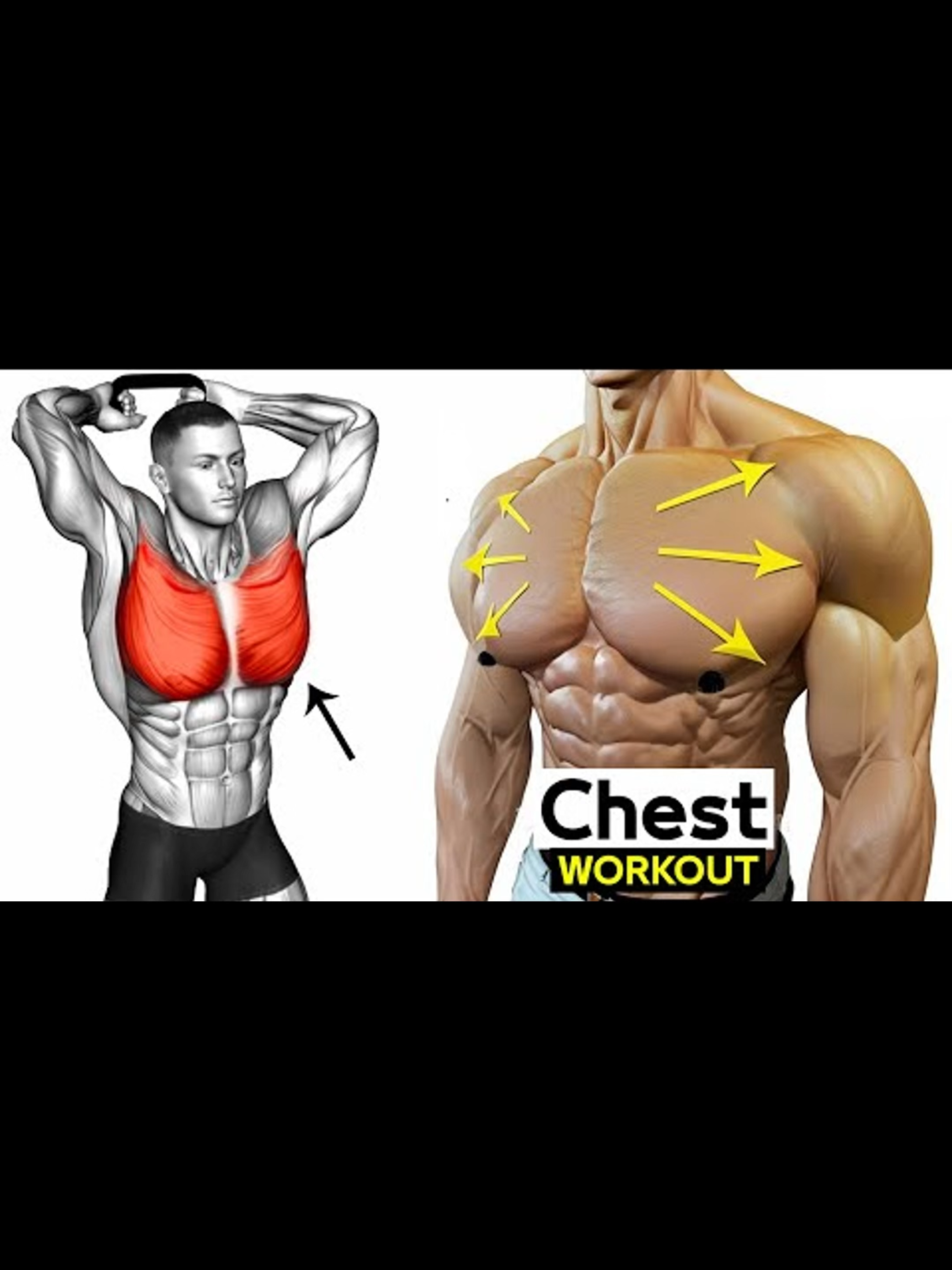 Dumbbell Chest Pump ⚡#Fitness #gym #GymTok #workouts #muscle #musculation #homeworkout #traps #trapsworkout #workoutmotivation #tiktok_uk #motivation #foryou #fyp #arm #viral #triceps #biceps #shoulders #exercise