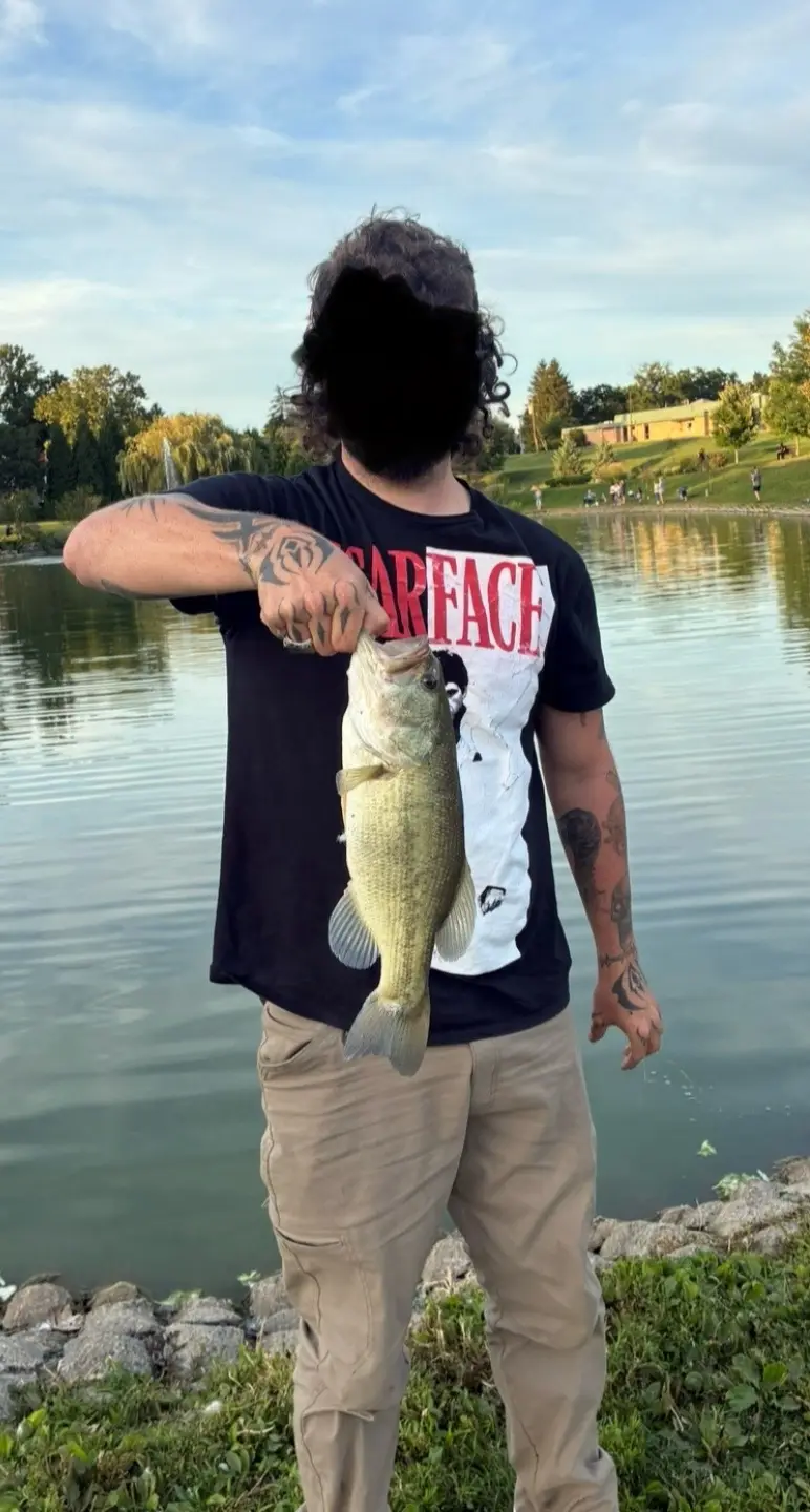 Fought him on the $12.38 zebco slingshot. Made it feel like a good fight. #bass #zebco #decent #lake #nightcrawlers 