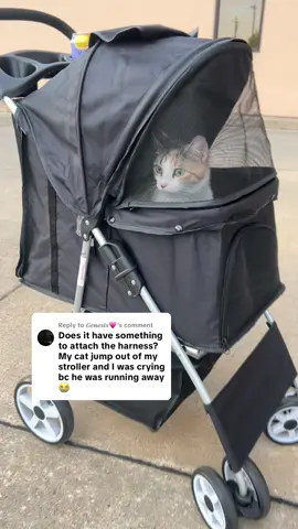 Replying to @𝑮𝒆𝒏𝒆𝒔𝒊𝒔💗 it’s fully enclosed! #catsoftiktok #cats #cattok #catstroller #tiktokshop 