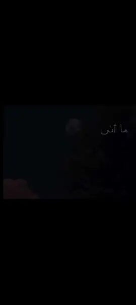 قلت الحمدلله 🤍#مااتى_من_الله_فل_الحمدلله  #بلال_الجهماني #اكسبلور 
