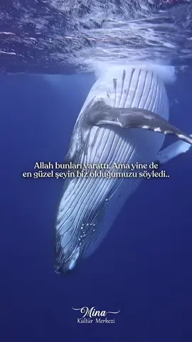 Başka şeylere bakıp onlara hayran olup çok mucizevi görebiliyoruz. Ama tüm o hayran olduğumuz şeylerden daha üstün bir yapıdayız. Bizde olan cihazat başka canlılarda yok çünkü Rabbimiz bizi eşsiz bir şekilde yaratmış. En önemli organımızın olan aklımızı içimize koymuş. Bunların bize bir vazife yüklediğini bilelim ve ona göre yaşama çabasında olalım..