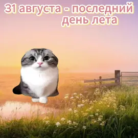последний день лета 🥺 #31августа #лето #последнийденьлета 