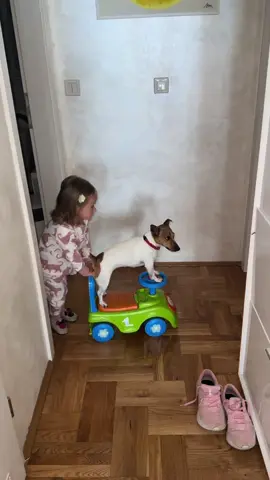 Best friends 🐶 #doglife #kidsplay #dog #jackrussell #dogfriend #playing 