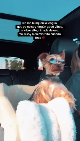 Cuando toca, toca 💋