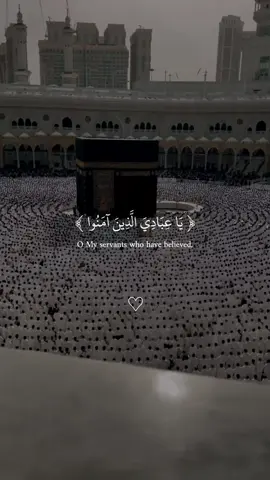 اللهم ارزقنا حسن الخاتمه 🤲🤍 #قران_كريم #راحه_نفسيه #عبدالرحمن_مسعد #قران #تصميم_karimmohmed30 