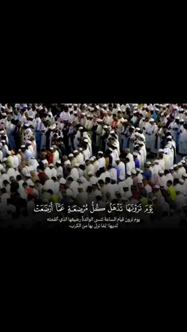 #سورة_الحج #ماهرالمعيقلي #ماهر_المعيقلي #مكه_المكرمه_المملكه_العربيه_السعوديه #qrain 