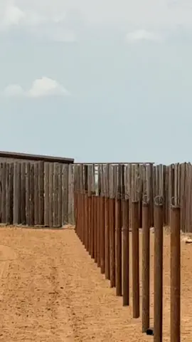 Fence liner cmon