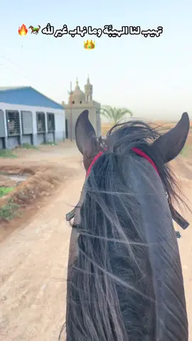 #علي 