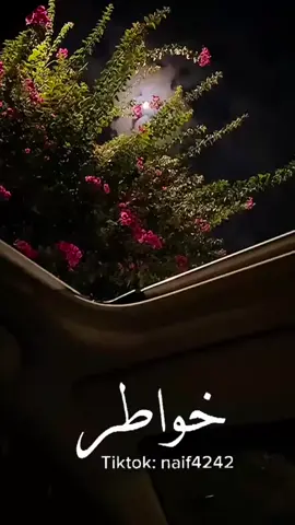 يلي عطاك الله من شبه القمر#اكسبلور #ترند #تصميمي 