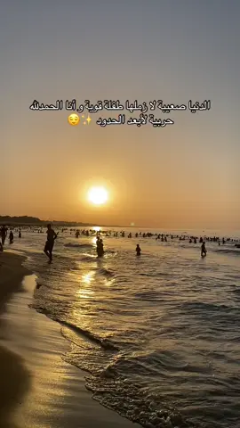 ✨✨🤍#الشعب_الصيني_ماله_حل😂😂 #اكسبلورexplore #algeria 