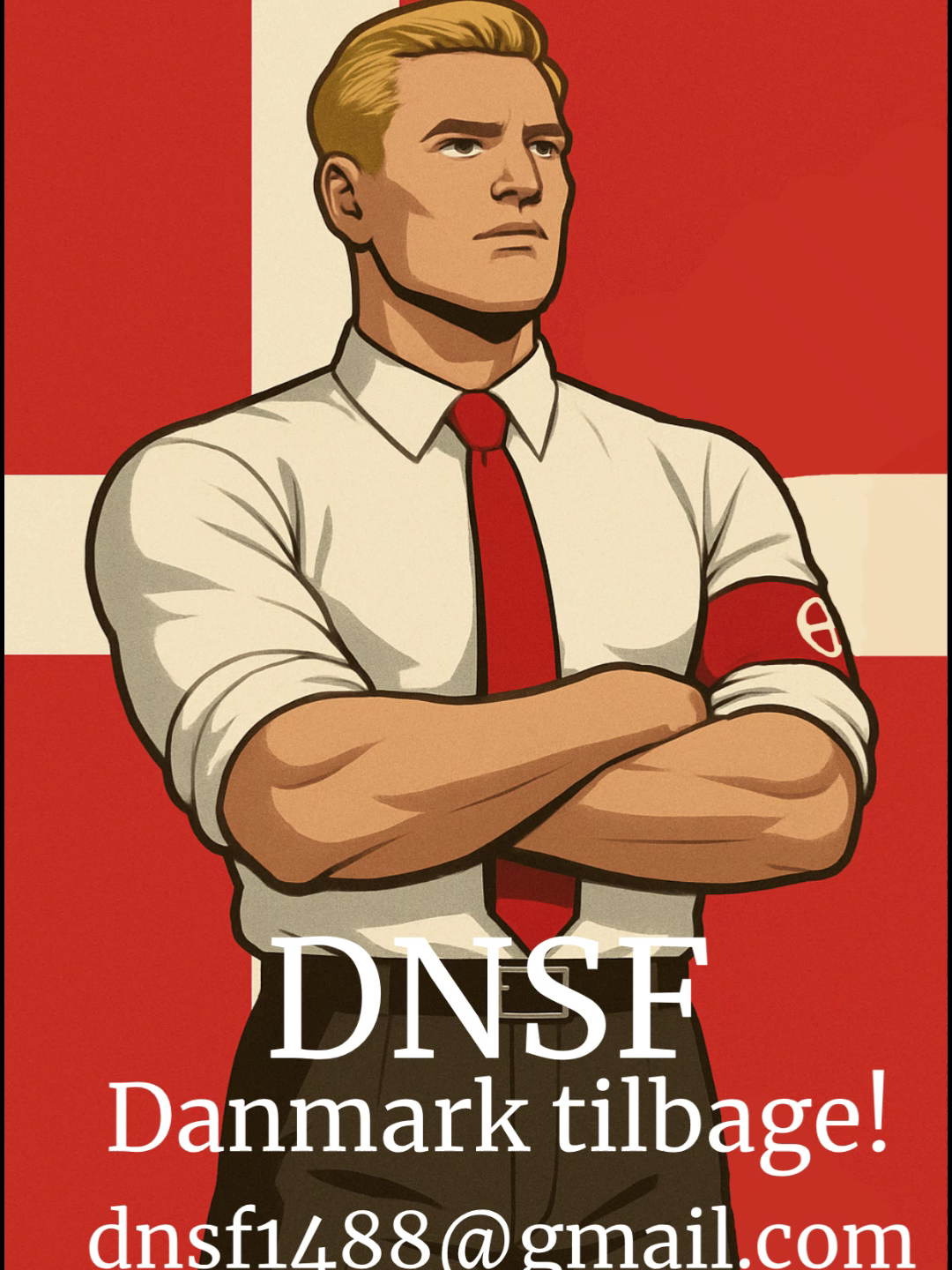 Kontakt os på dnsf1488@gmail.com#danmark #dansk #fyp #dnsf
