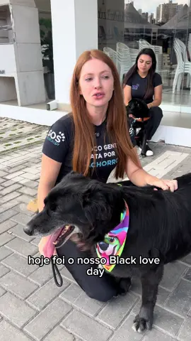 Eu tinha esperanças que seria diferente, mas não foi , trouxemos 25 animais de pelagem preta e apenas 2 foram adotados 💔 Nossos últimos eventos de adoção foram 8 adotados, o penúltimo 16, o de hoje que só tinham pretinhos foram apenas 2 adoções, não é exagero, é a realidade. Se você quer adotar um dos nossos petinhos lindos entre em contato no 041987292170 - eles estão em Curitiba-Pr!