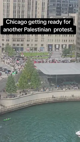 getting ready for another Palestinian protest. in the loop.  #freepalestine  #theloop #paletinianprotest #FYP  #foryou 