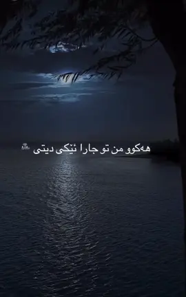 #گوهداربـــــــــــــە🤍 #❤️🌝 ##في هذا اليوم 
