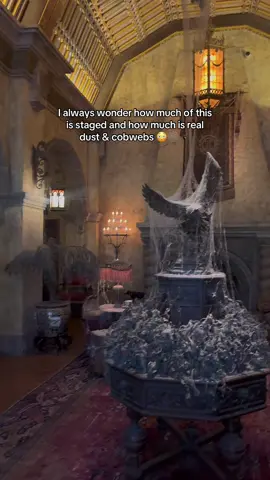 I probably don’t want to know tbh 😅 #towerofterror #disney #hollywoodstudios 