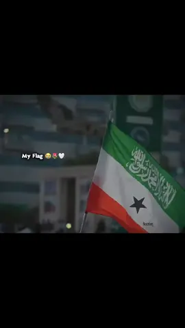 sheikh xusen ali jabuuti#somalilandtiktok💚🤍❤ 