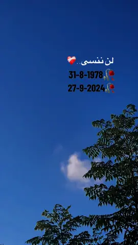 لن ننسى ذكراكم#سماحة_العشق 