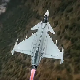 𝐓𝐡𝐞 𝐆𝐫𝐢𝐩𝐞𝐧 𝐚𝐧𝐝 𝐭𝐡𝐞 𝐕𝐢𝐩𝐞𝐫. || Tags: #f16 #gripen #warthunder #edit #fyp 