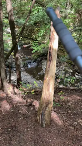 This came in clutch today #trekkingstick #tacticaltrekkingstick #tacticalstick #Hiking 