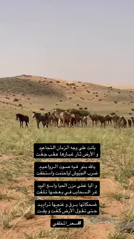 #شعراء_وذواقين_الشعر_الشعبي 